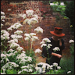 Meet your Posher, Colette